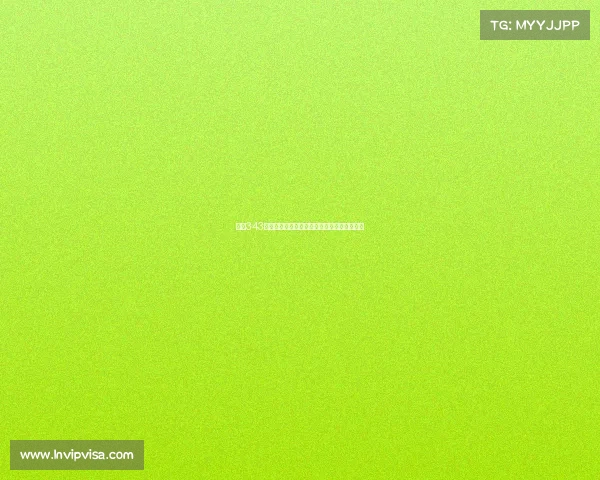 西甲343阵型解析：攻防平衡与战术灵活性的完美结合