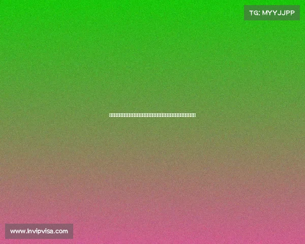 法甲俱乐部管理模式的创新与挑战分析:从财务运营到球队建设的全方位探讨